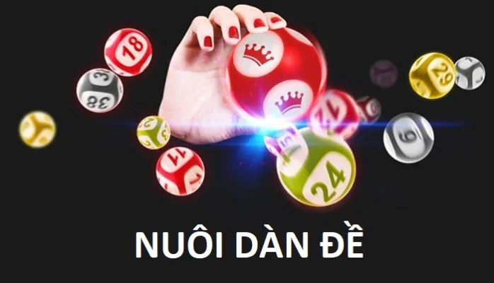 nuoi dan de